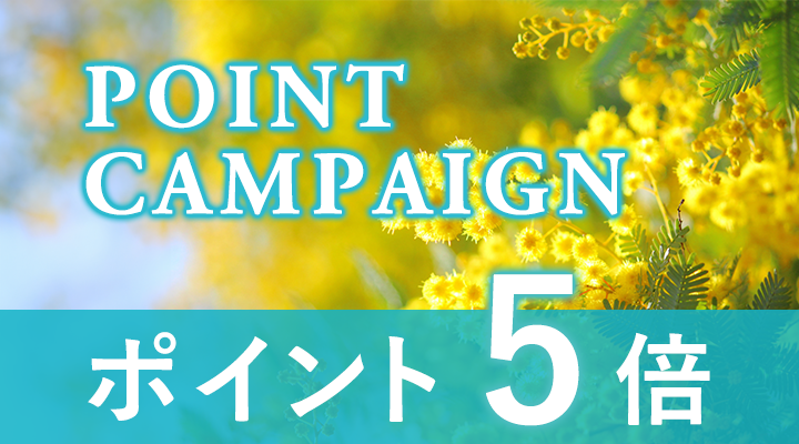 ポイントキャンペーン